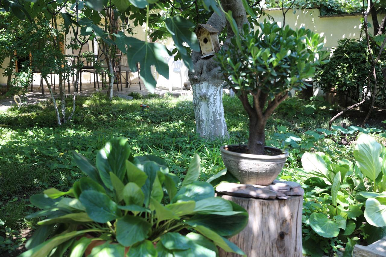 4Bd Appartaments With Cozy Garden Тбилиси Екстериор снимка